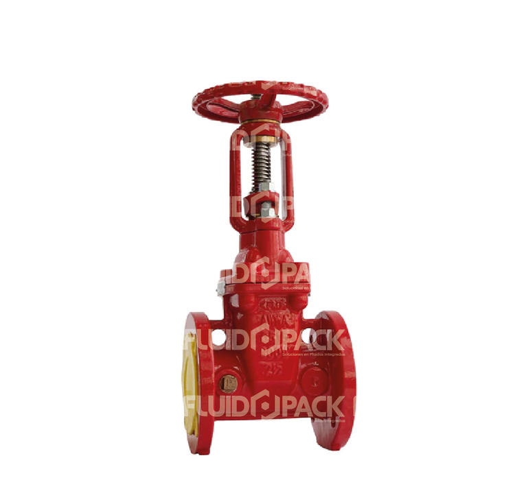 VALVULA COMP OS&Y UL/FM 300PSI