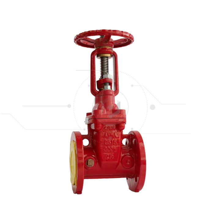 VALVULA COMP OS&Y UL/FM 300PSI